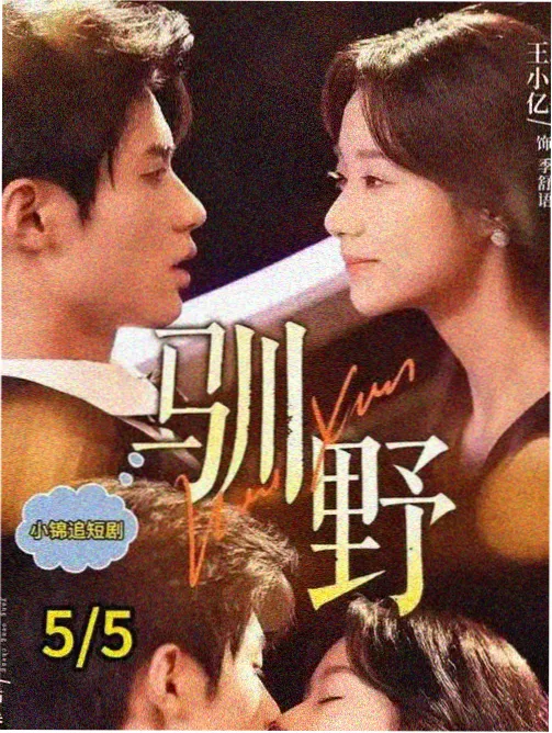 求婚大作战 - 日剧在线观看